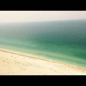 Meet your Posher, Ann